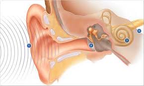 Hearing.jpg
