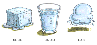 3forms.gif