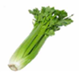 Apio.png